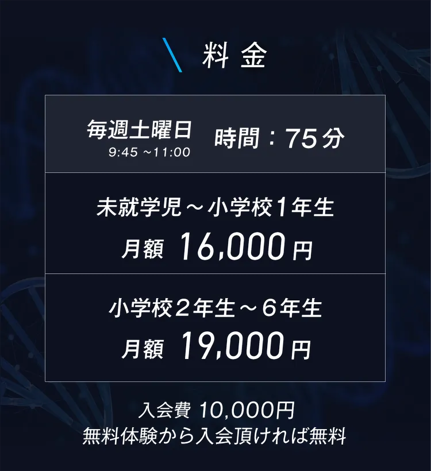 Team D Academy