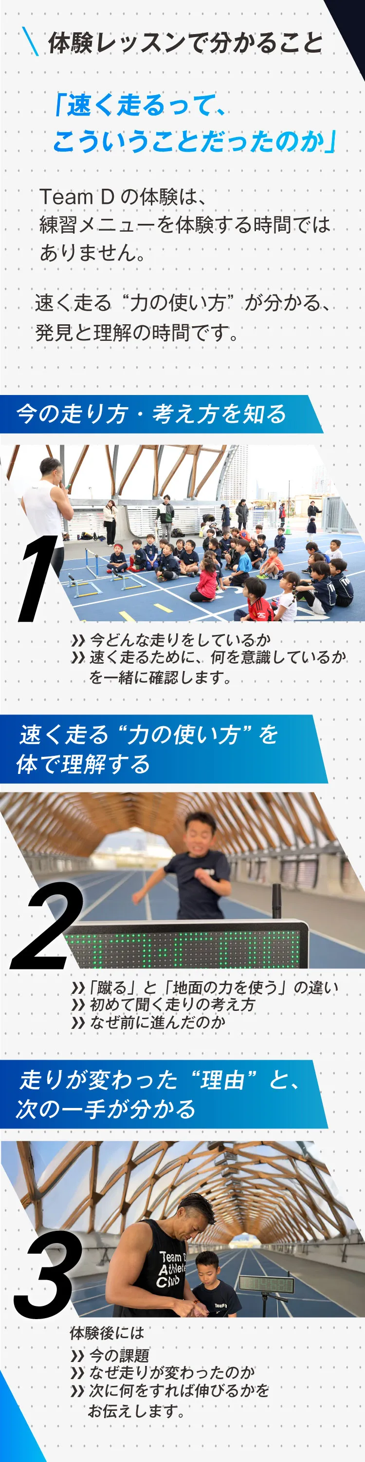 Team D Academy